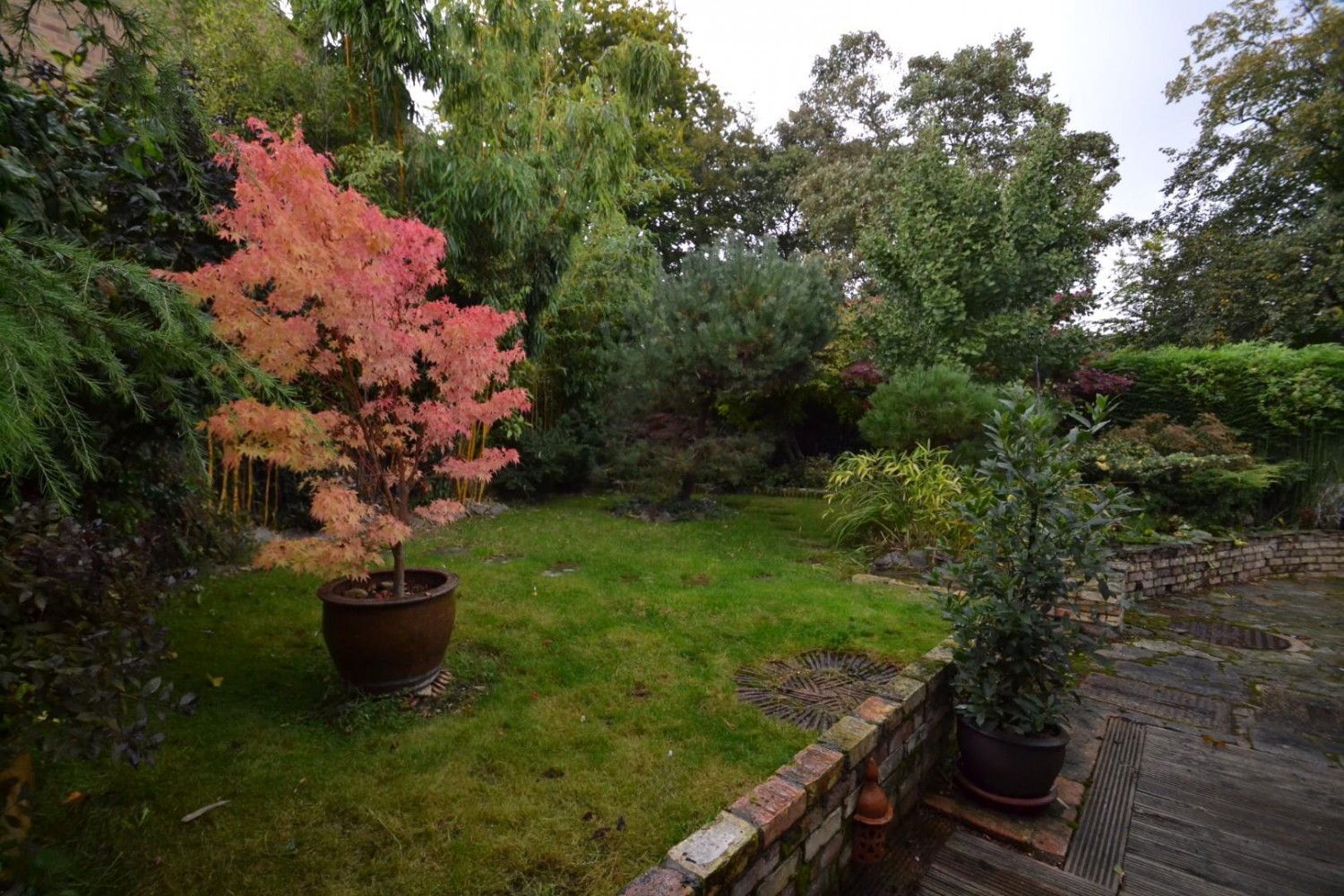 Monks Walk, Buntingford, SG9 9DY