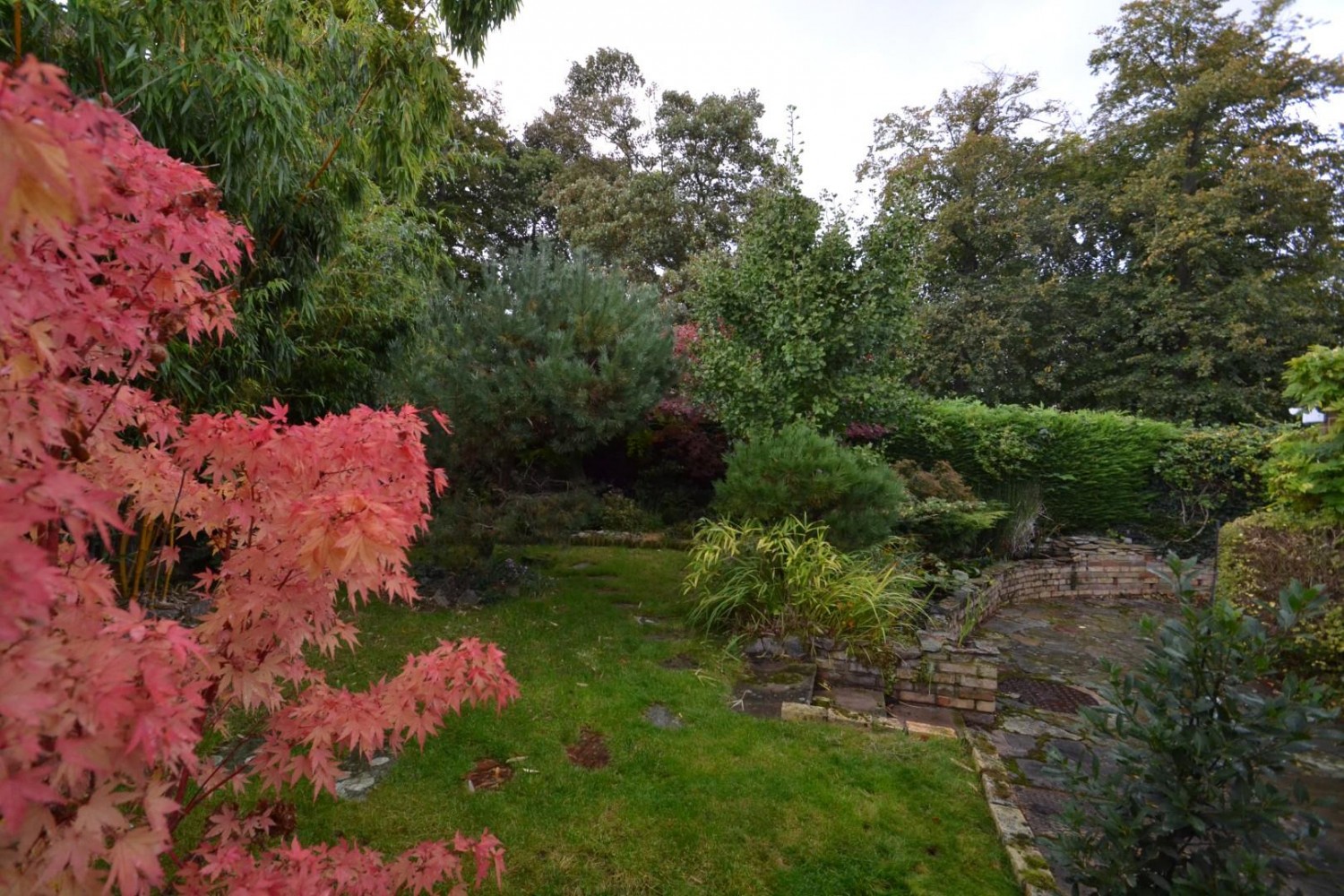 Monks Walk, Buntingford, SG9 9DY