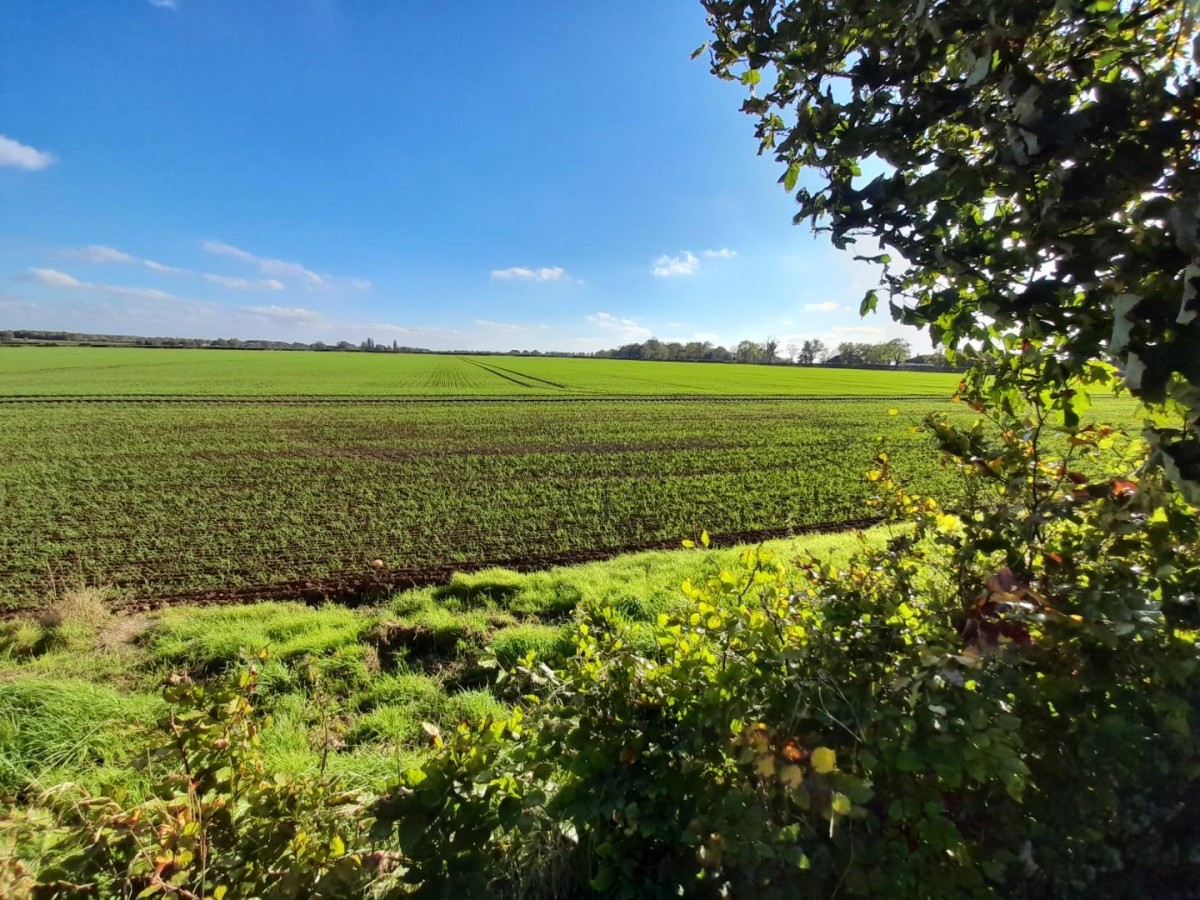 The Wolds, Waddingham, Gainsborough