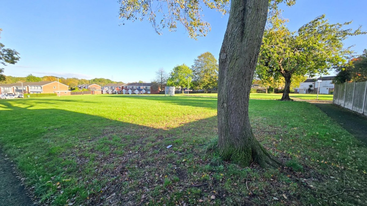 Birds Bush Road, Tamworth