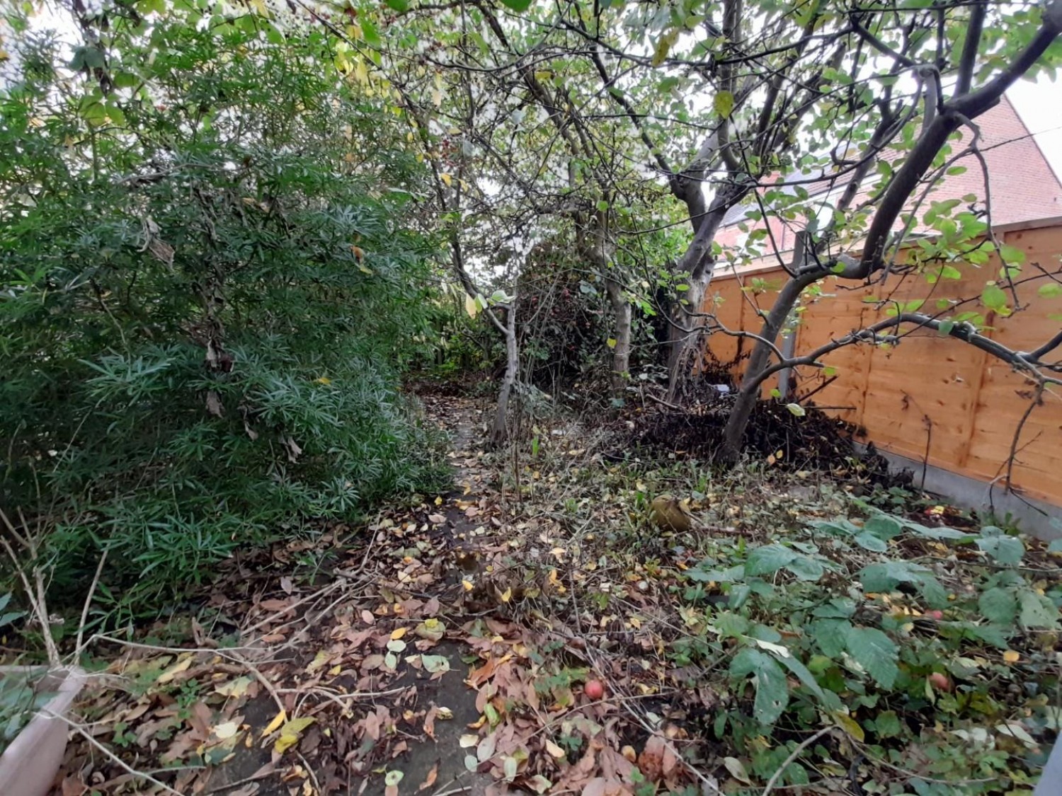 Woods Terrace, Gainsborough