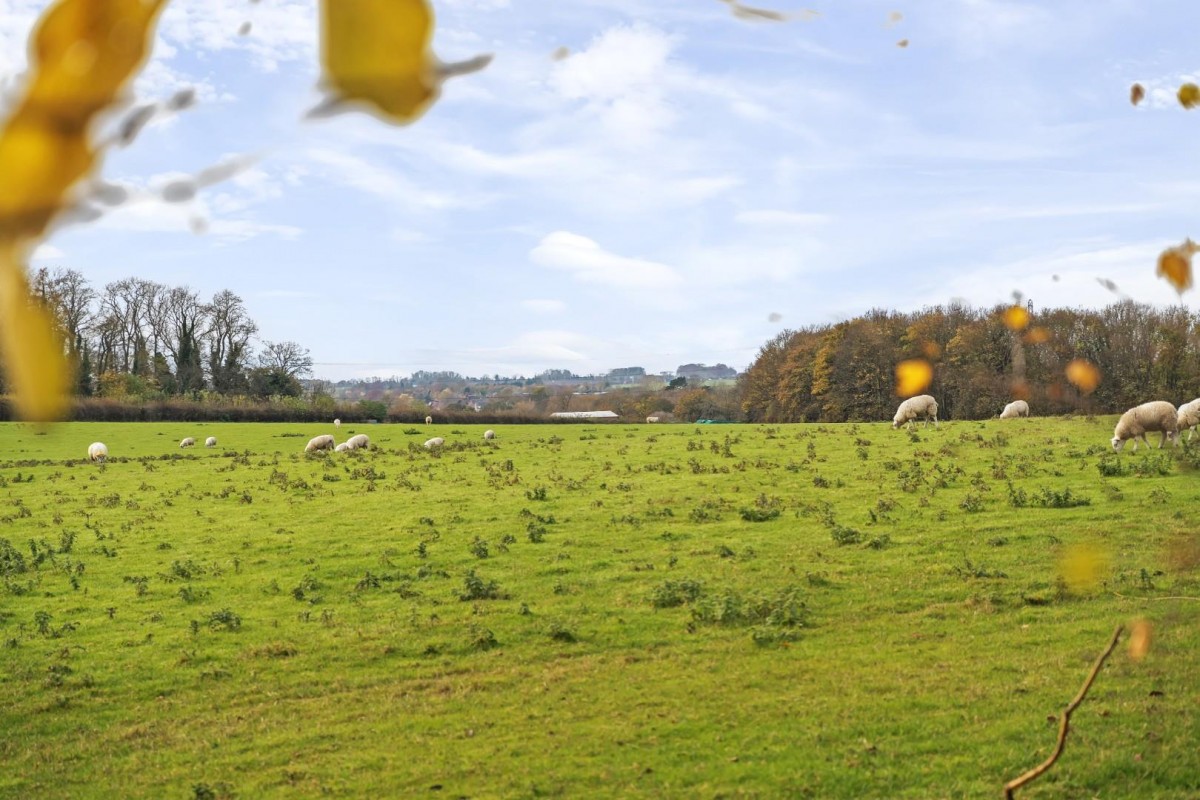 St. Andrews Walk, Newton Kyme, Tadcaster