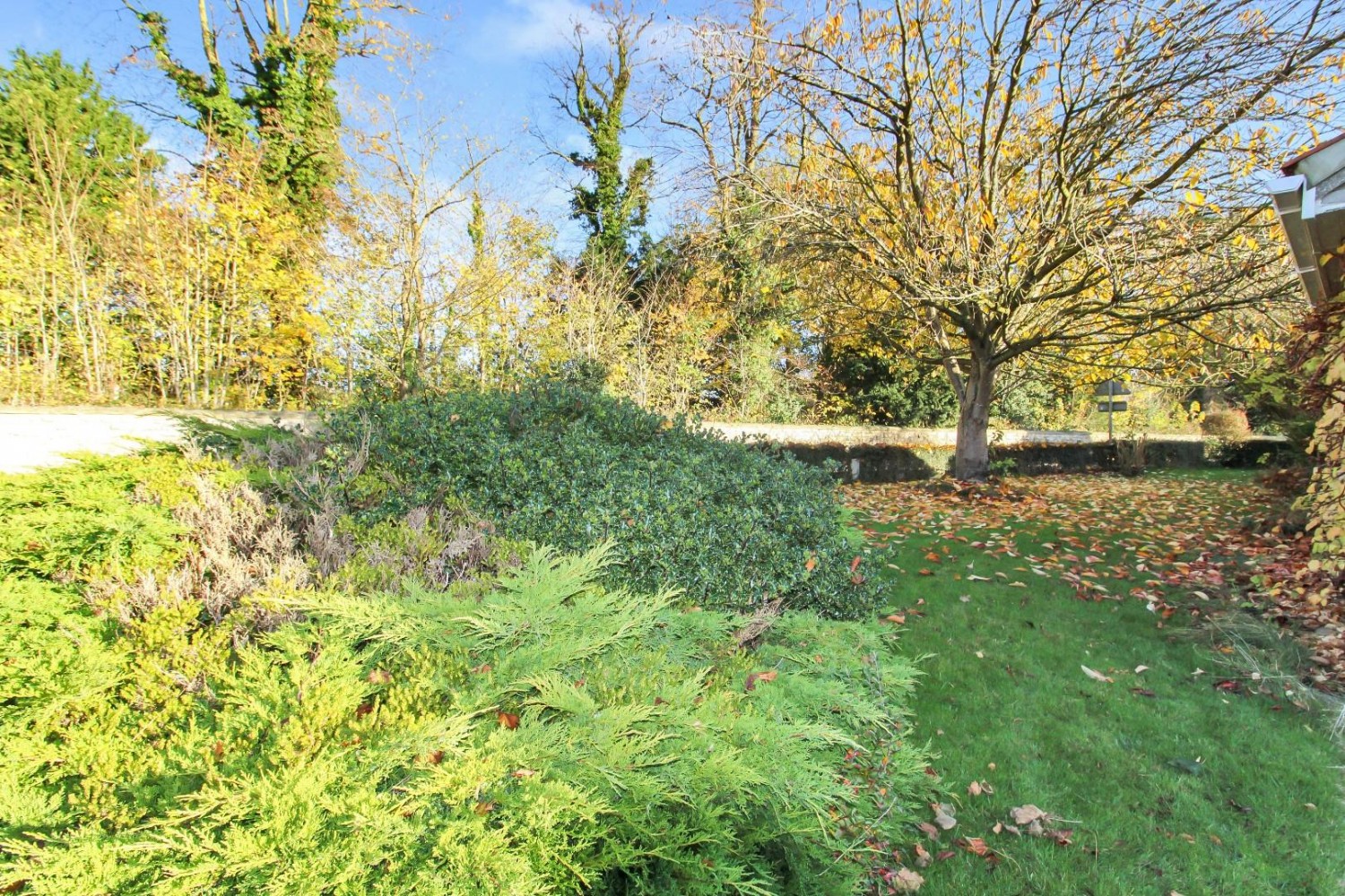 Glebe Meadow, Sharow, Ripon