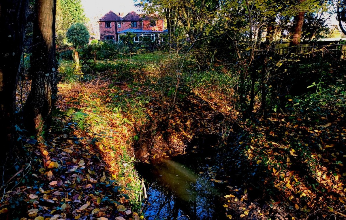 HARBOURNE LANE, HIGH HALDEN