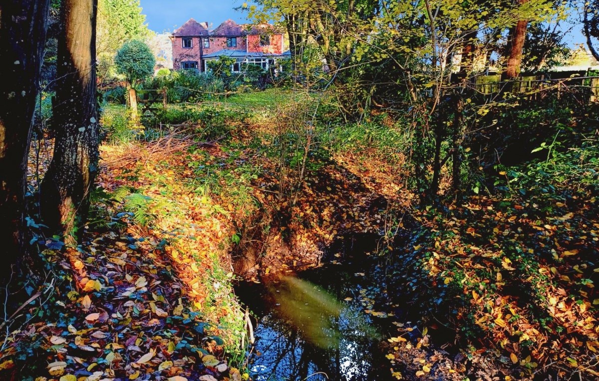 HARBOURNE LANE, HIGH HALDEN