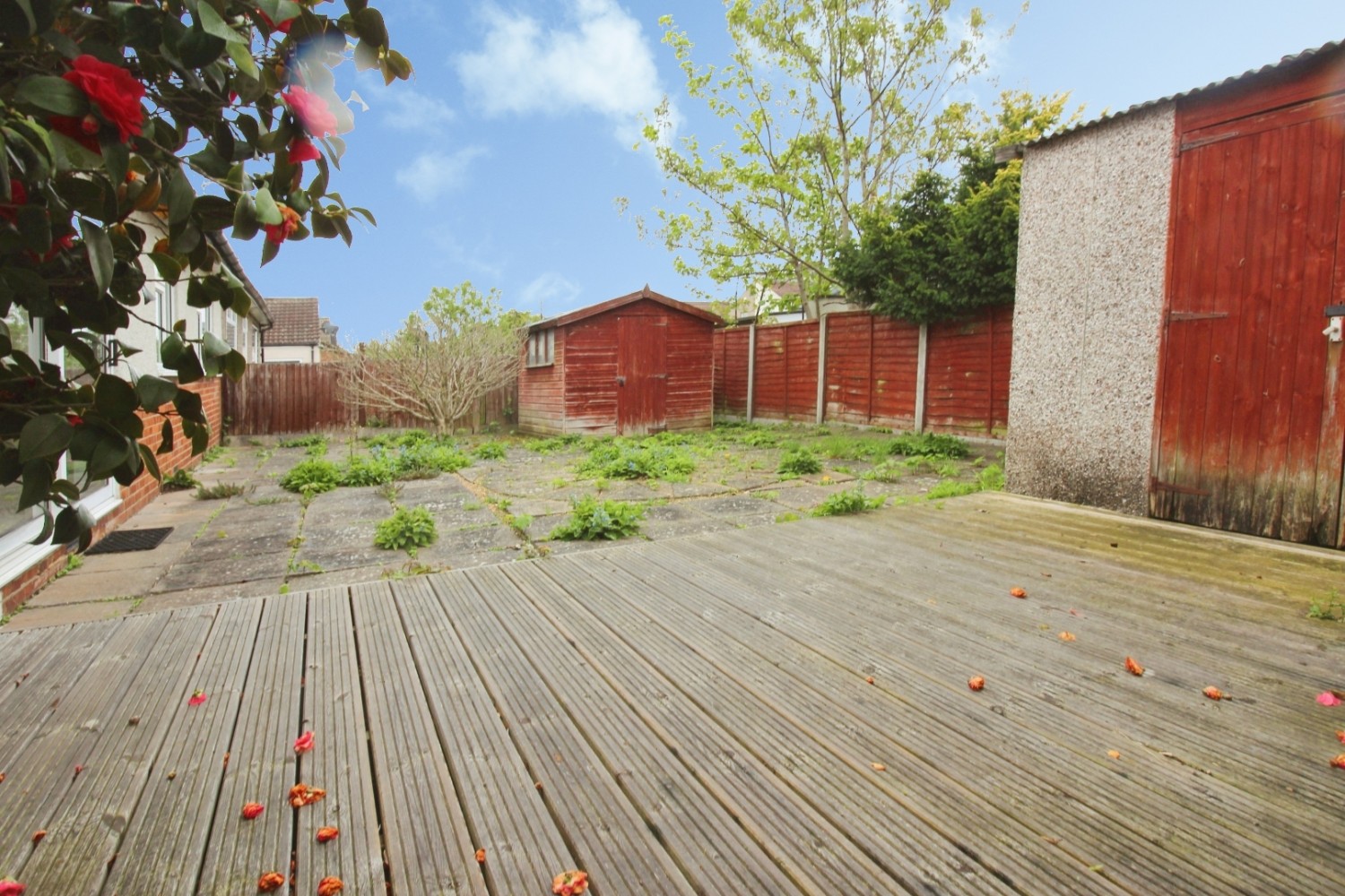 Albany Road, Belvedere