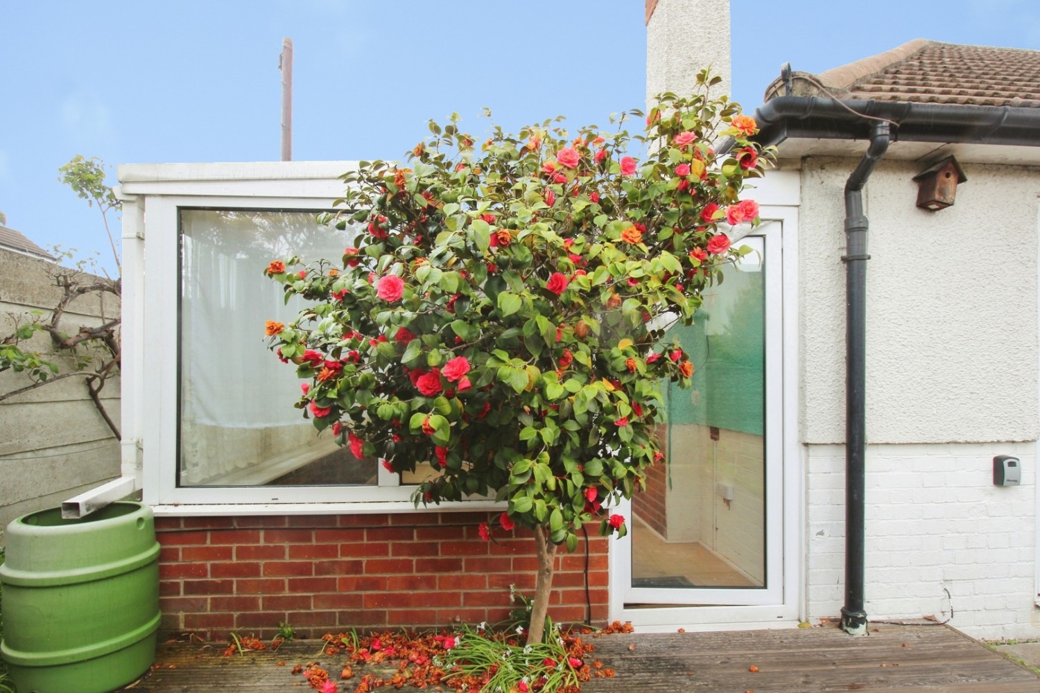 Albany Road, Belvedere