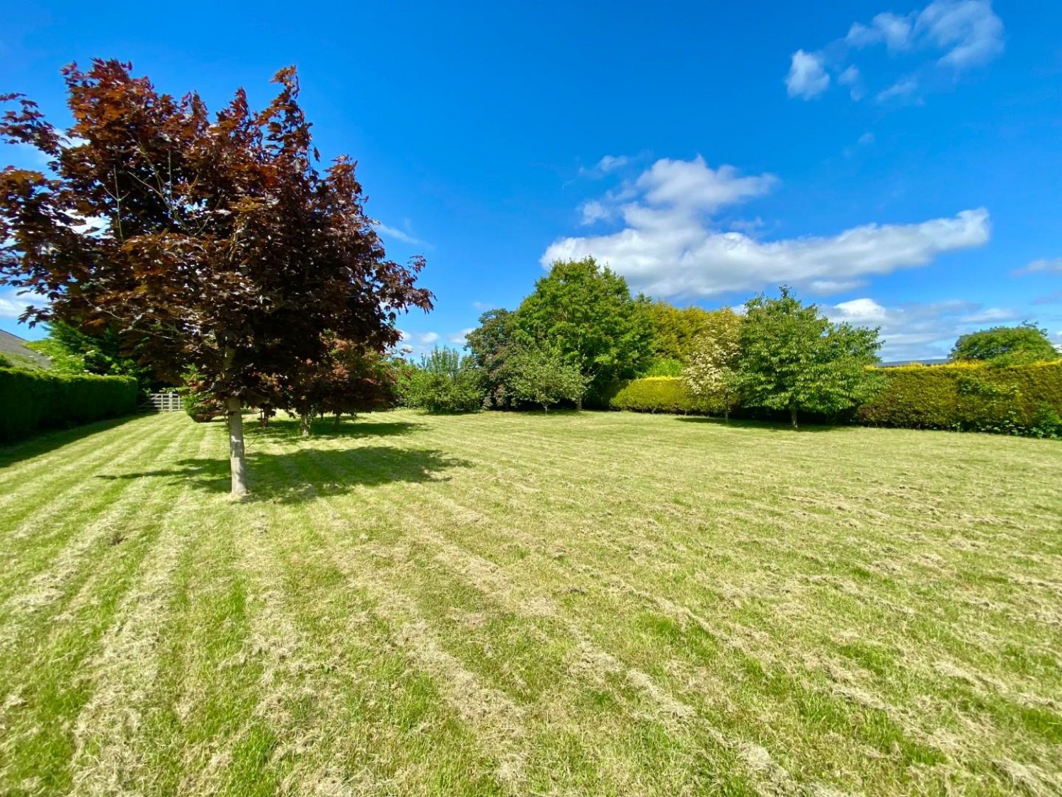 Hoton Prior, Hemingbrough