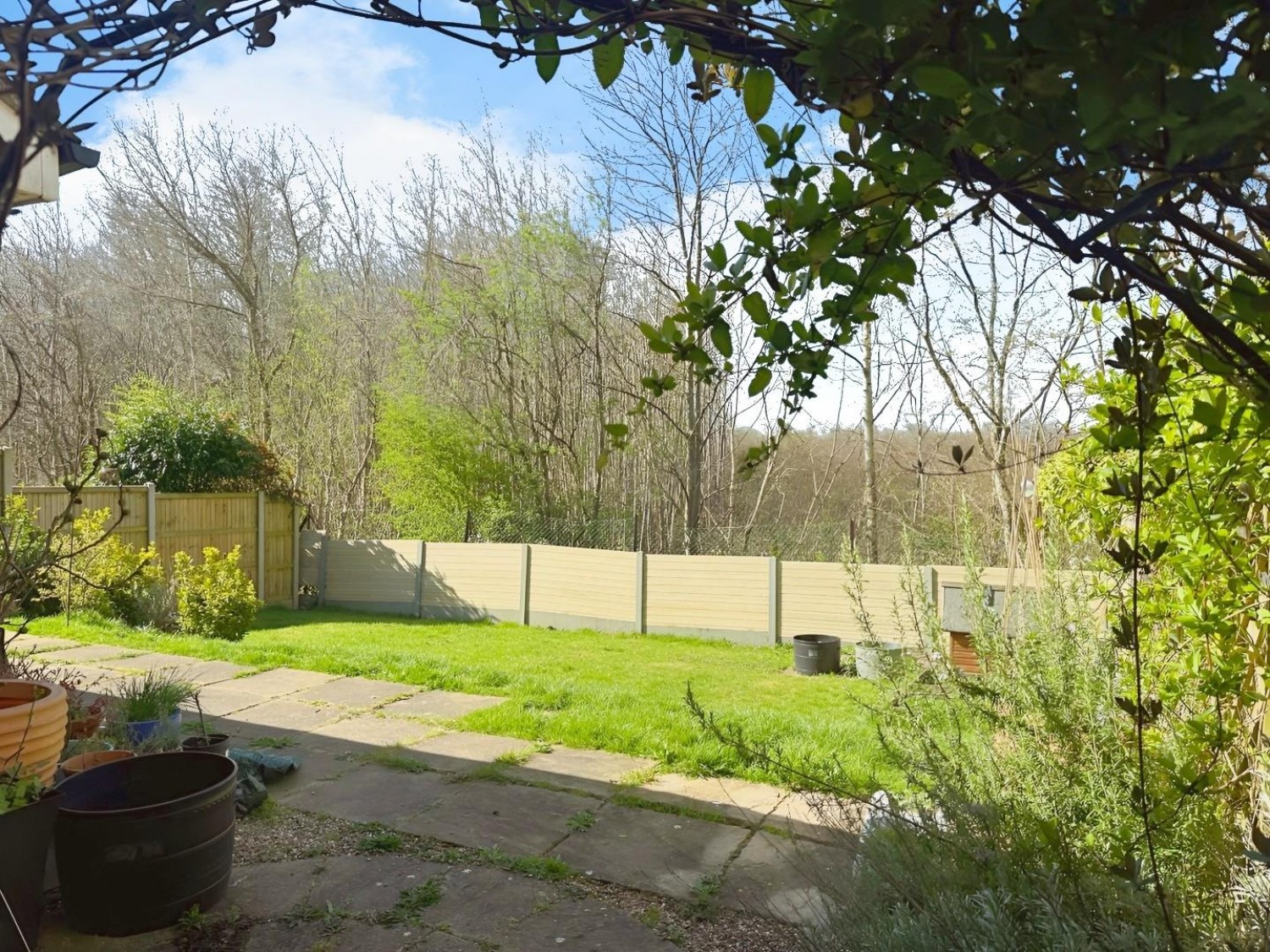 Forest Avenue, Orchard Heights