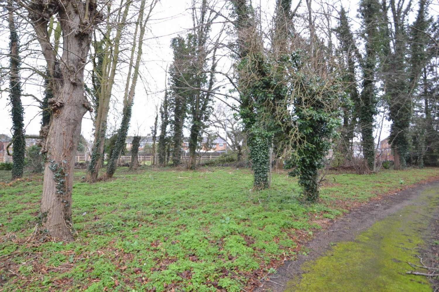 Downhall Ley, Buntingford