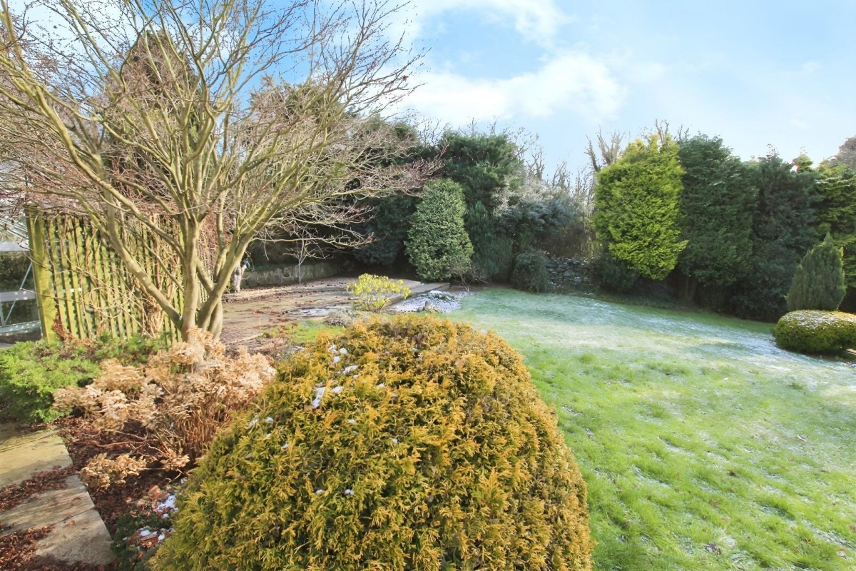 Walker Wood, Baildon, Shipley, West Yorkshire