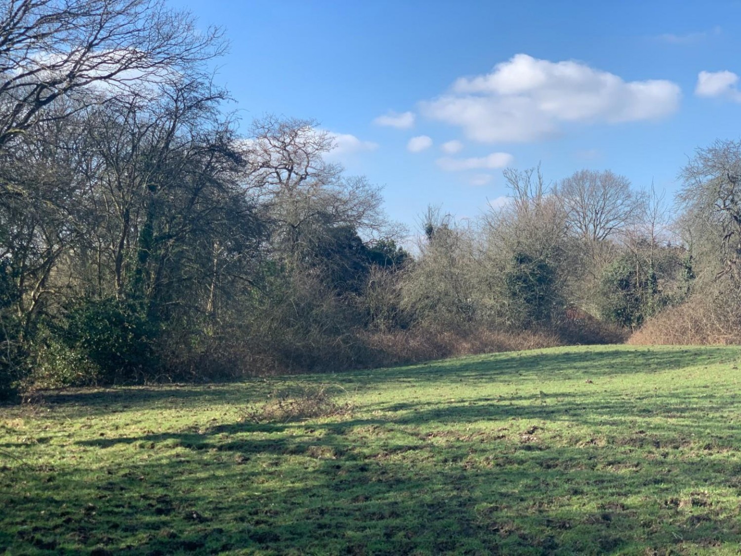 Kemnal Road, Chislehurst