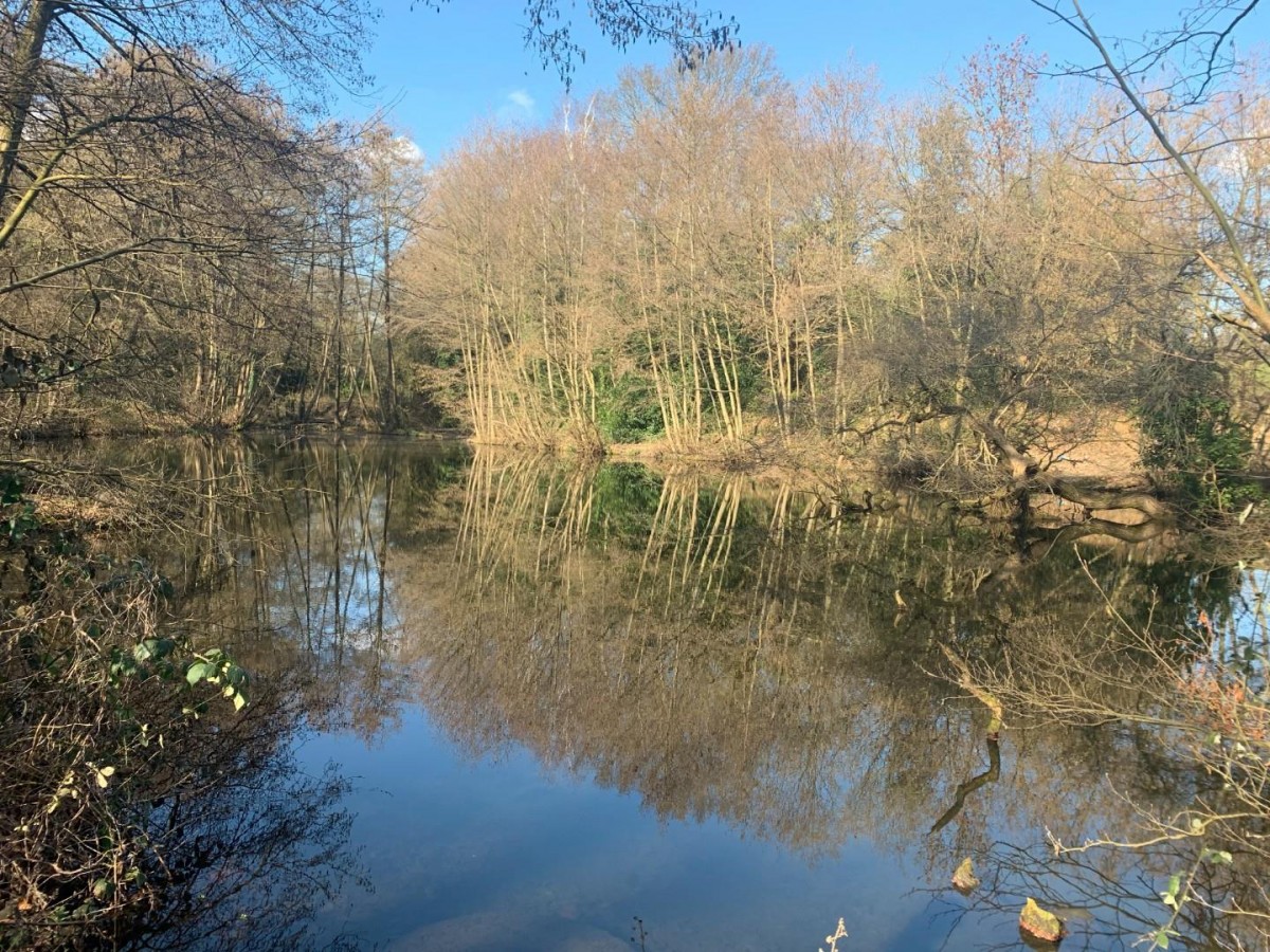 Kemnal Road, Chislehurst