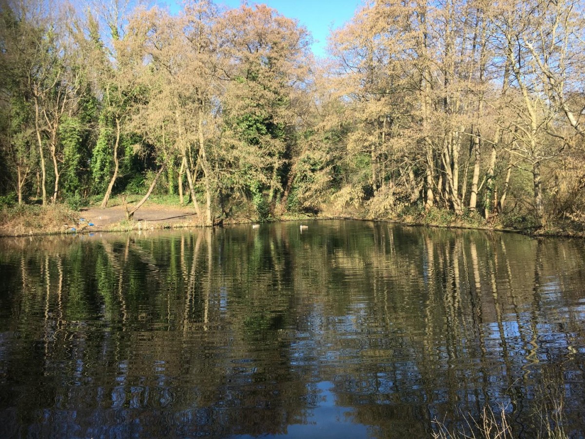 Kemnal Road, Chislehurst