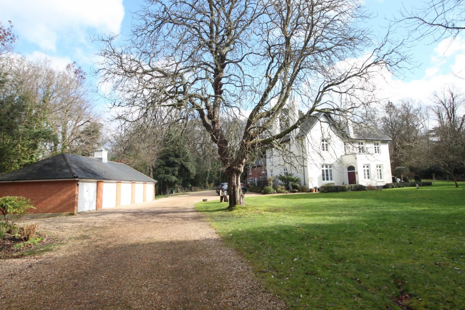 The Coppice, Royal Victoria Country Park, Netley Abbey,