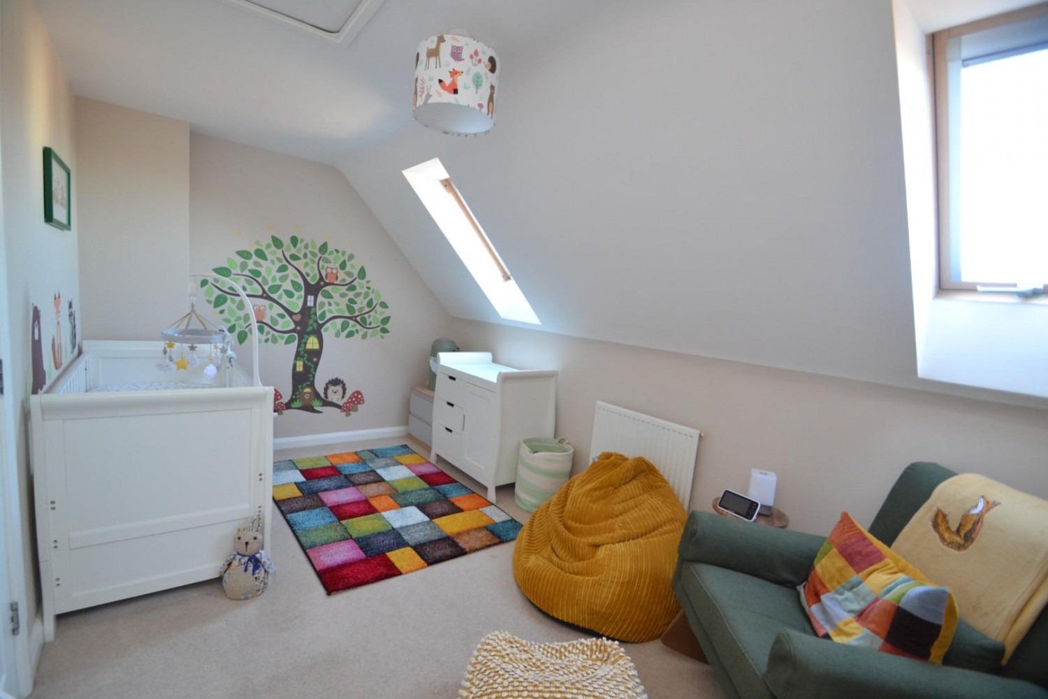 Skipps Meadow, Buntingford