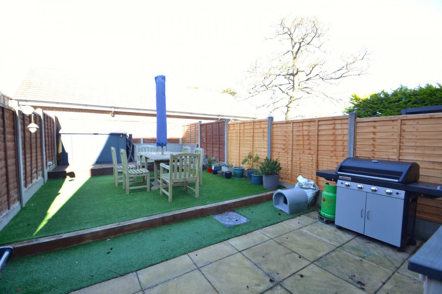 Skipps Meadow, Buntingford