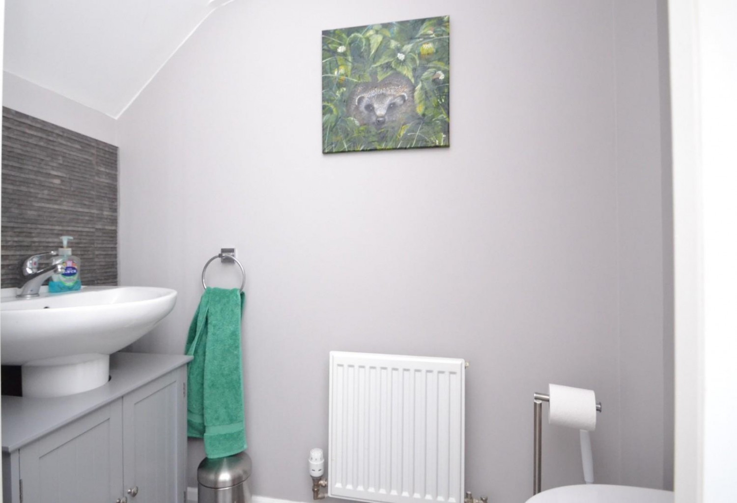 Skipps Meadow, Buntingford