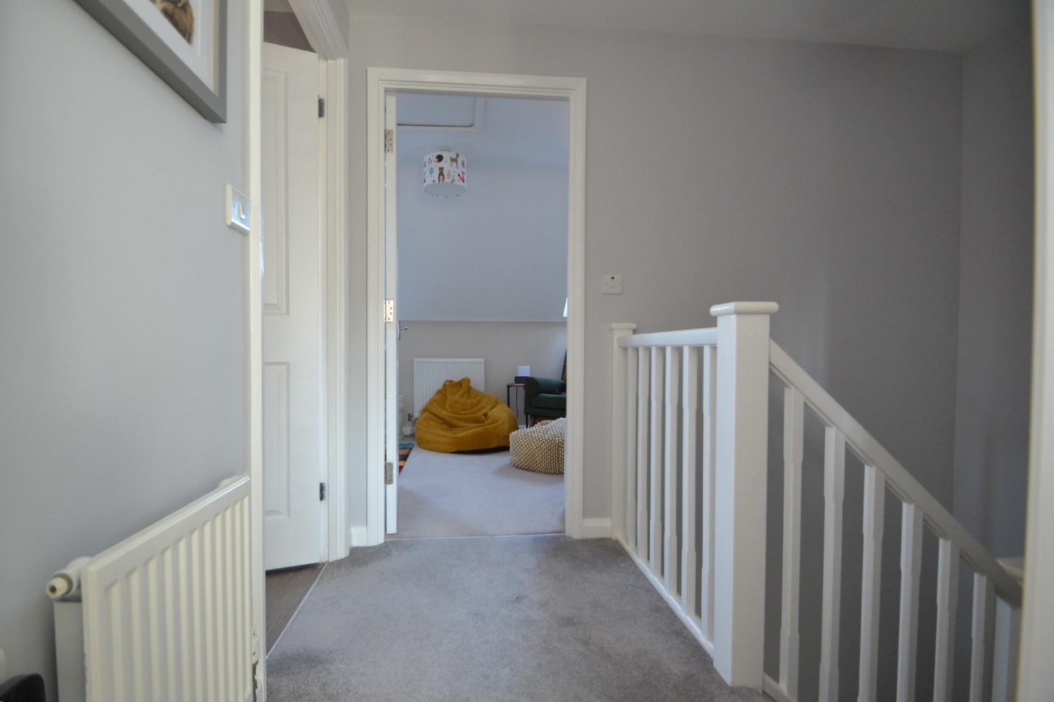 Skipps Meadow, Buntingford