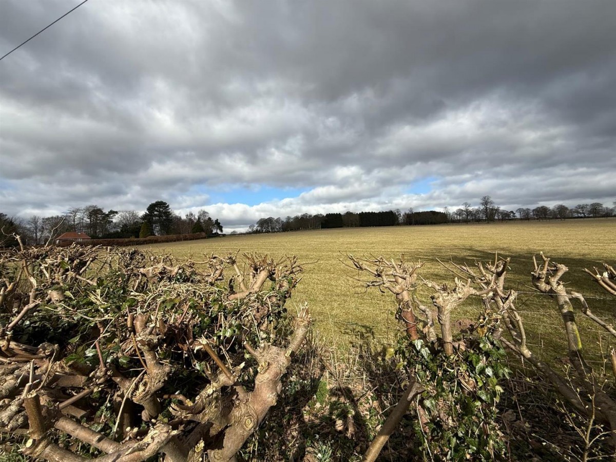 The Brake, Hagley, Stourbridge, DY8 2XJ