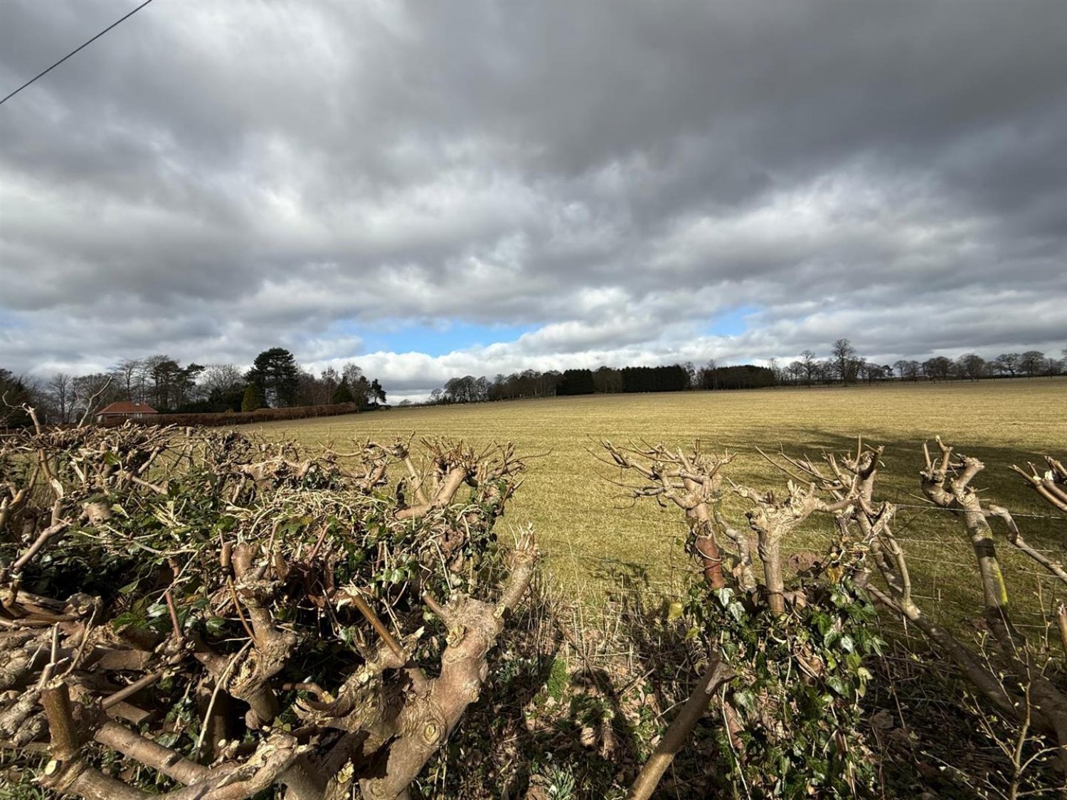 The Brake, Hagley, Stourbridge, DY8 2XJ