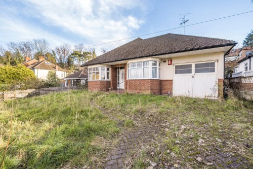 Halt Robin Road, Belvedere