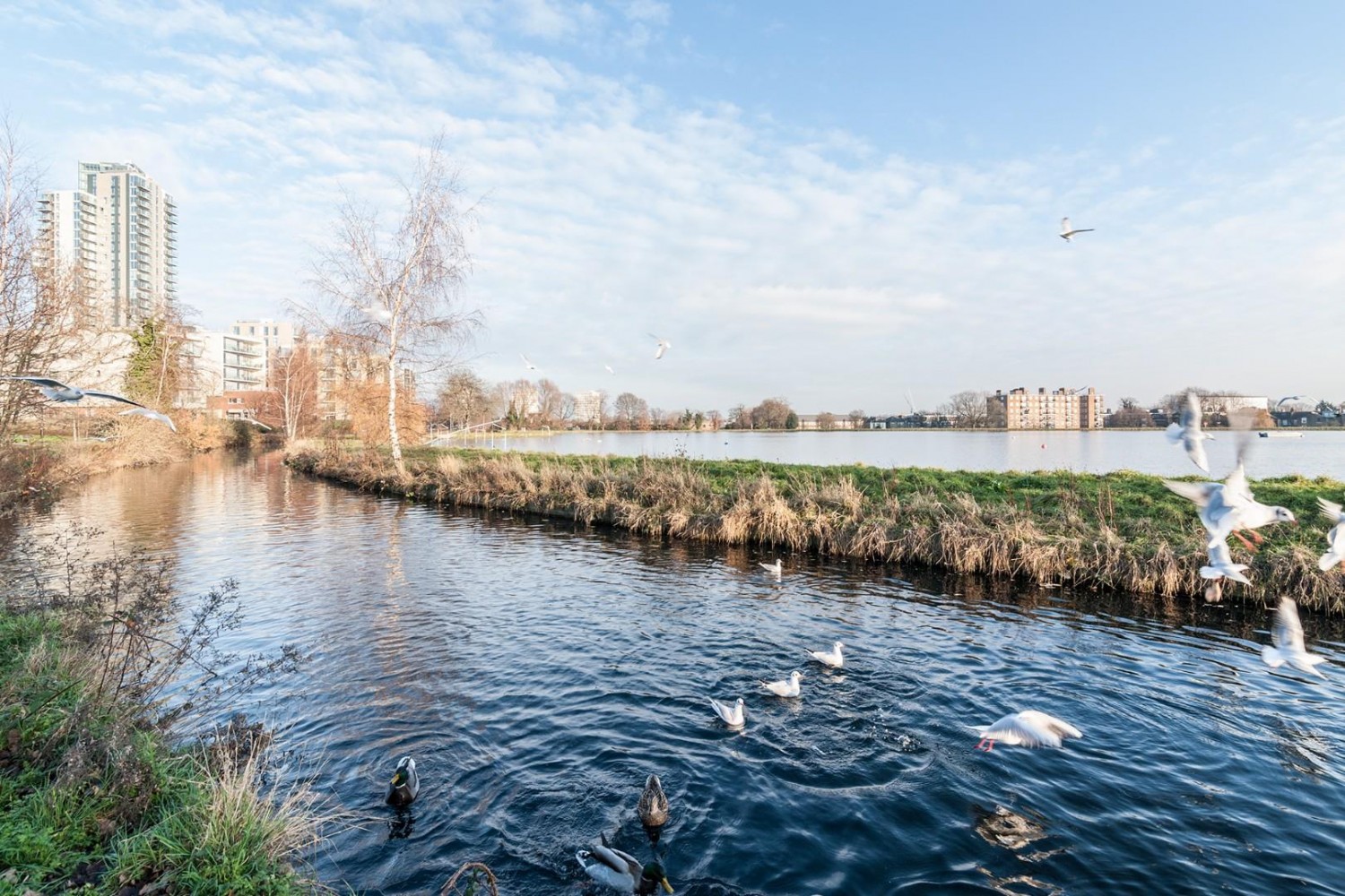 Woodberry Grove, London, N4