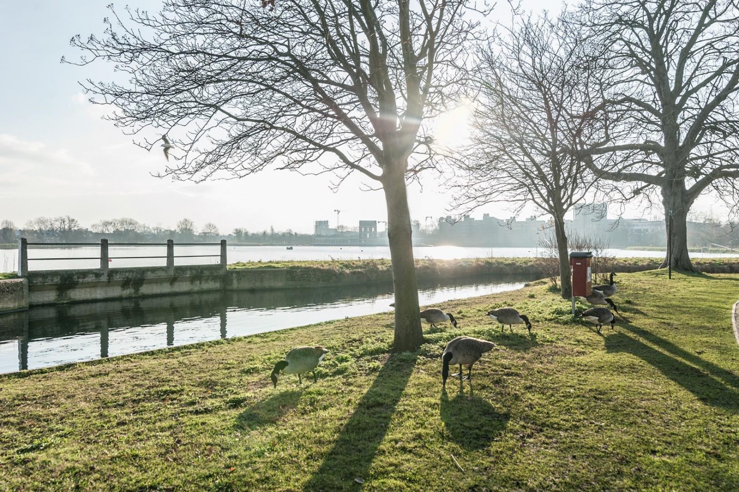 Woodberry Grove, London, N4