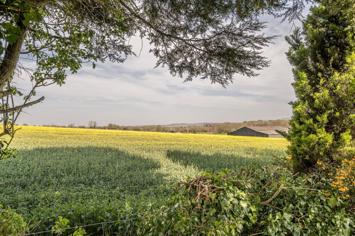 Primrose Cottage, Blakeshall Lane, Wolverley, DY11 5XJ