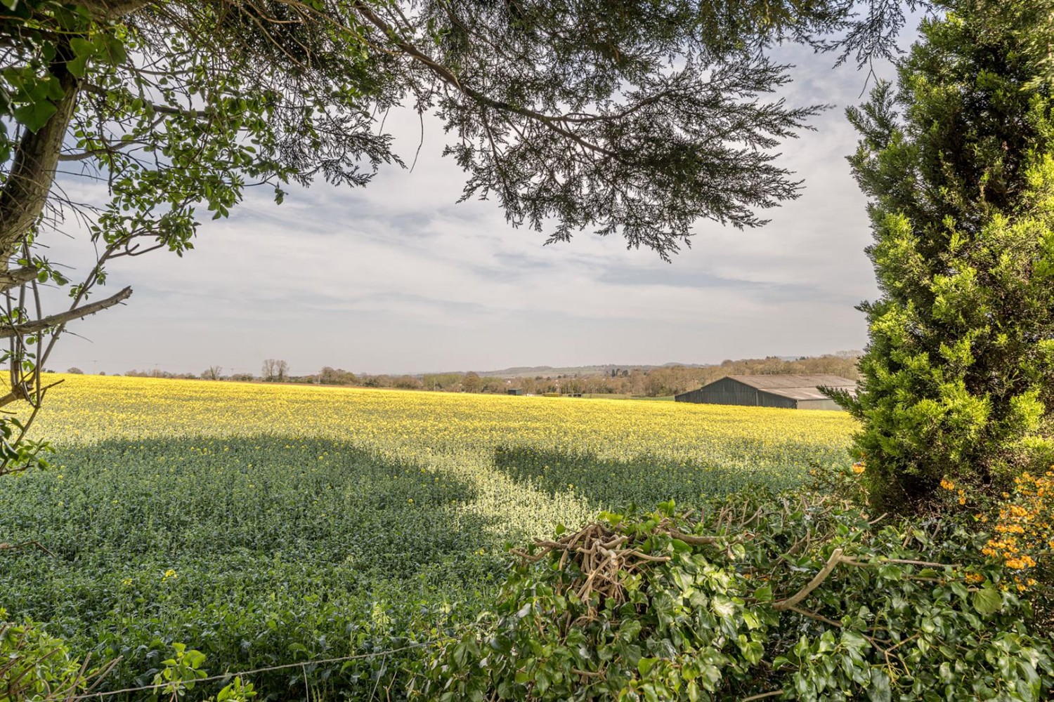 Primrose Cottage, Blakeshall Lane, Wolverley, DY11 5XJ