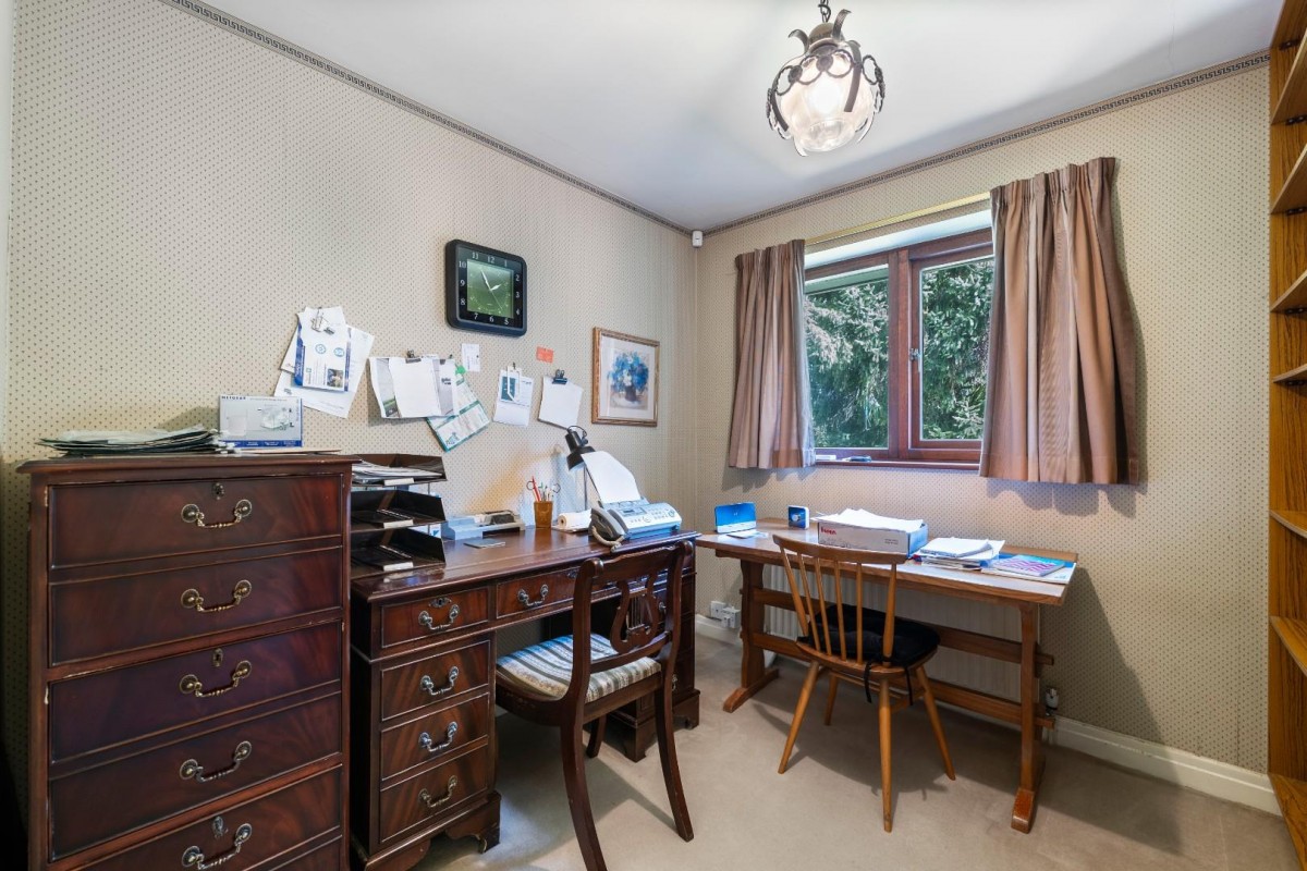 Sutton Spring Wood, Calow, Chesterfield, S44 5XF