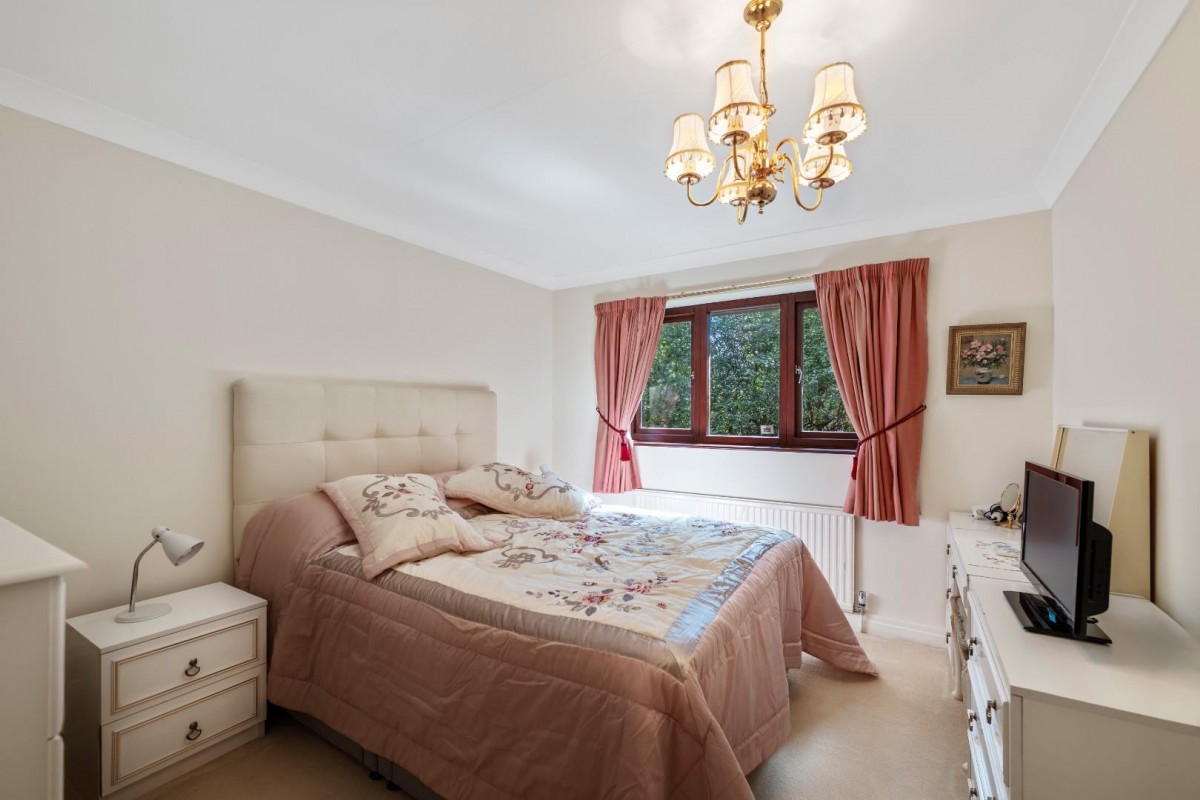 Sutton Spring Wood, Calow, Chesterfield, S44 5XF