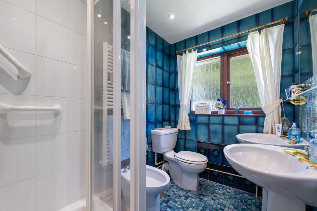 Sutton Spring Wood, Calow, Chesterfield, S44 5XF