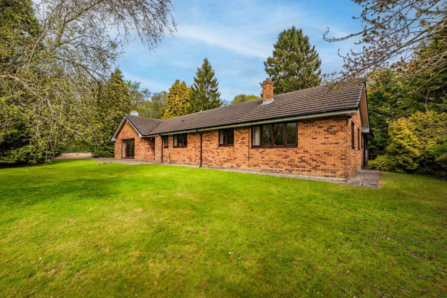 Sutton Spring Wood, Calow, Chesterfield, S44 5XF