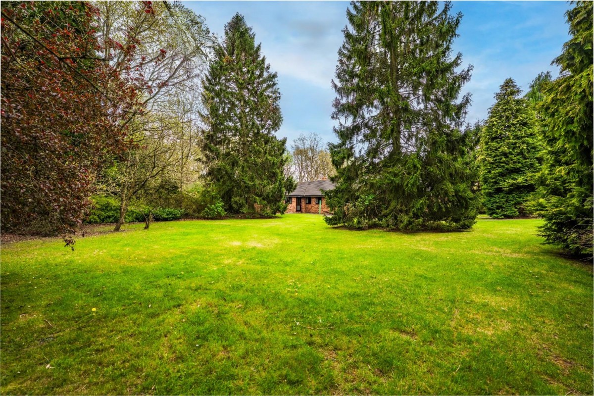 Sutton Spring Wood, Calow, Chesterfield, S44 5XF