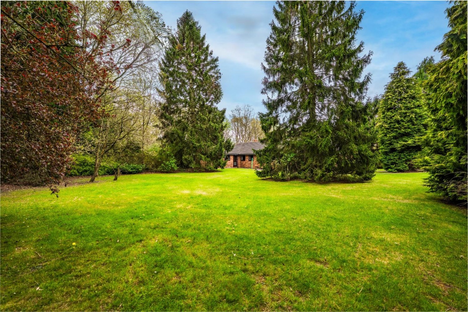 Sutton Spring Wood, Calow, Chesterfield, S44 5XF