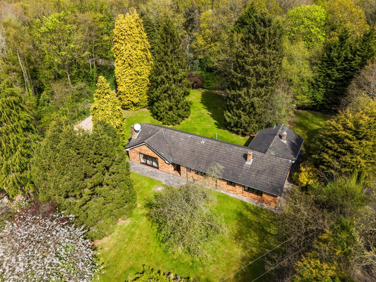 Sutton Spring Wood, Calow, Chesterfield, S44 5XF