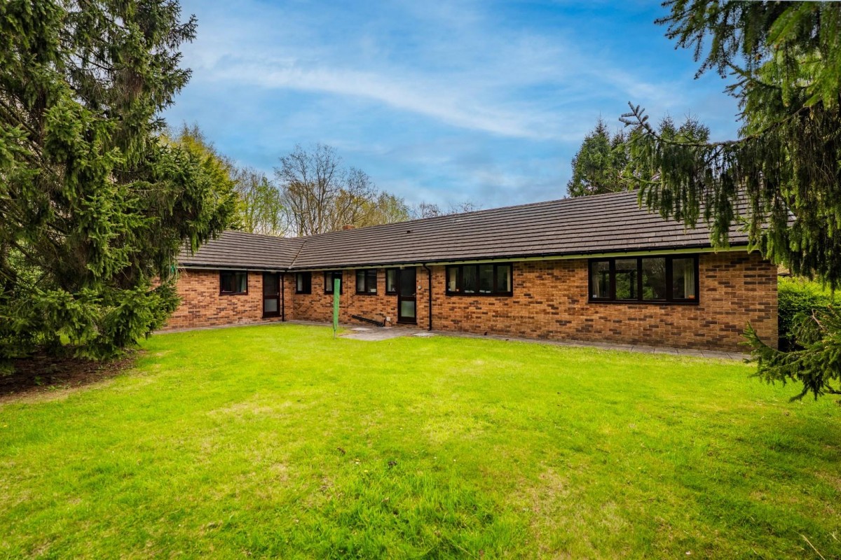 Sutton Spring Wood, Calow, Chesterfield, S44 5XF