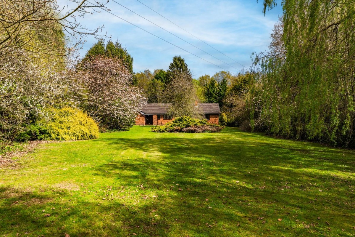 Sutton Spring Wood, Calow, Chesterfield, S44 5XF
