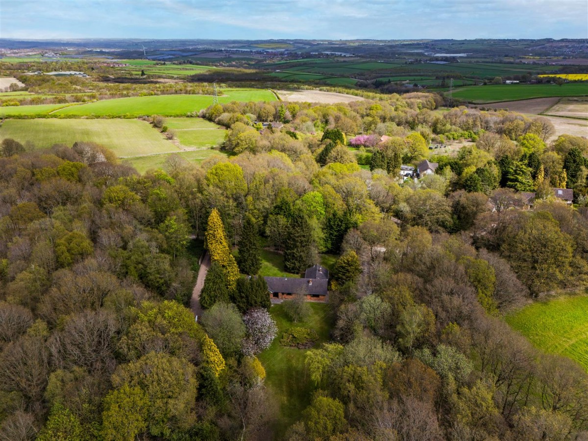 Sutton Spring Wood, Calow, Chesterfield, S44 5XF