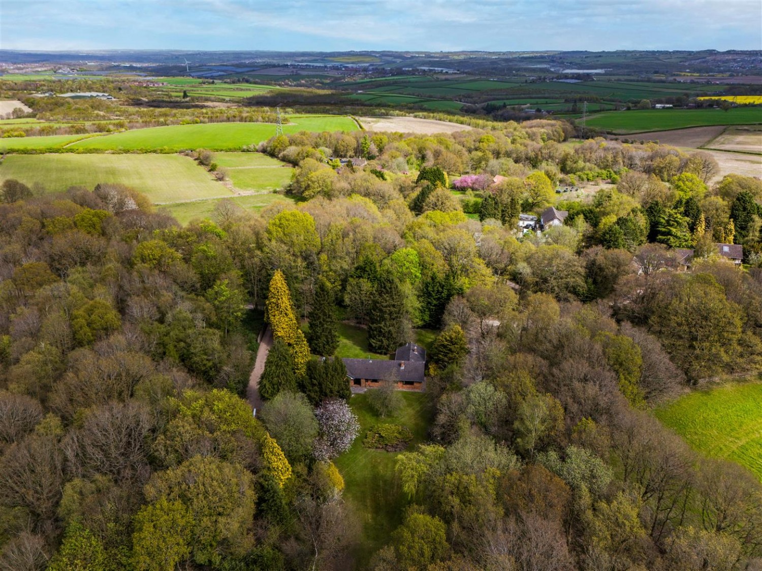 Sutton Spring Wood, Calow, Chesterfield, S44 5XF