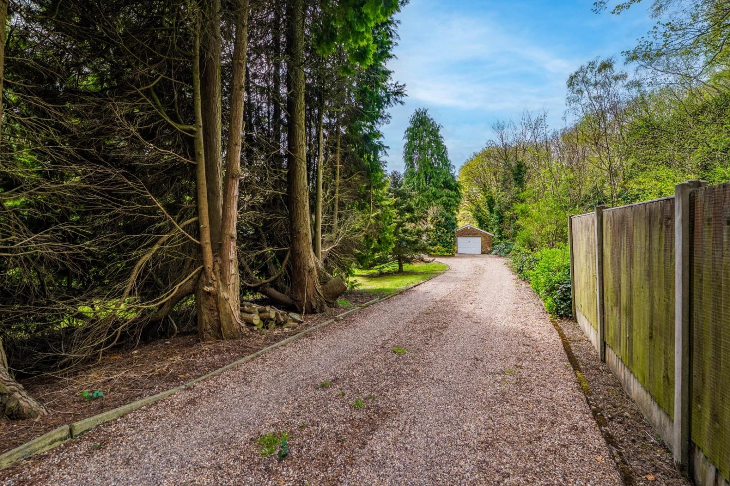 Sutton Spring Wood, Calow, Chesterfield, S44 5XF