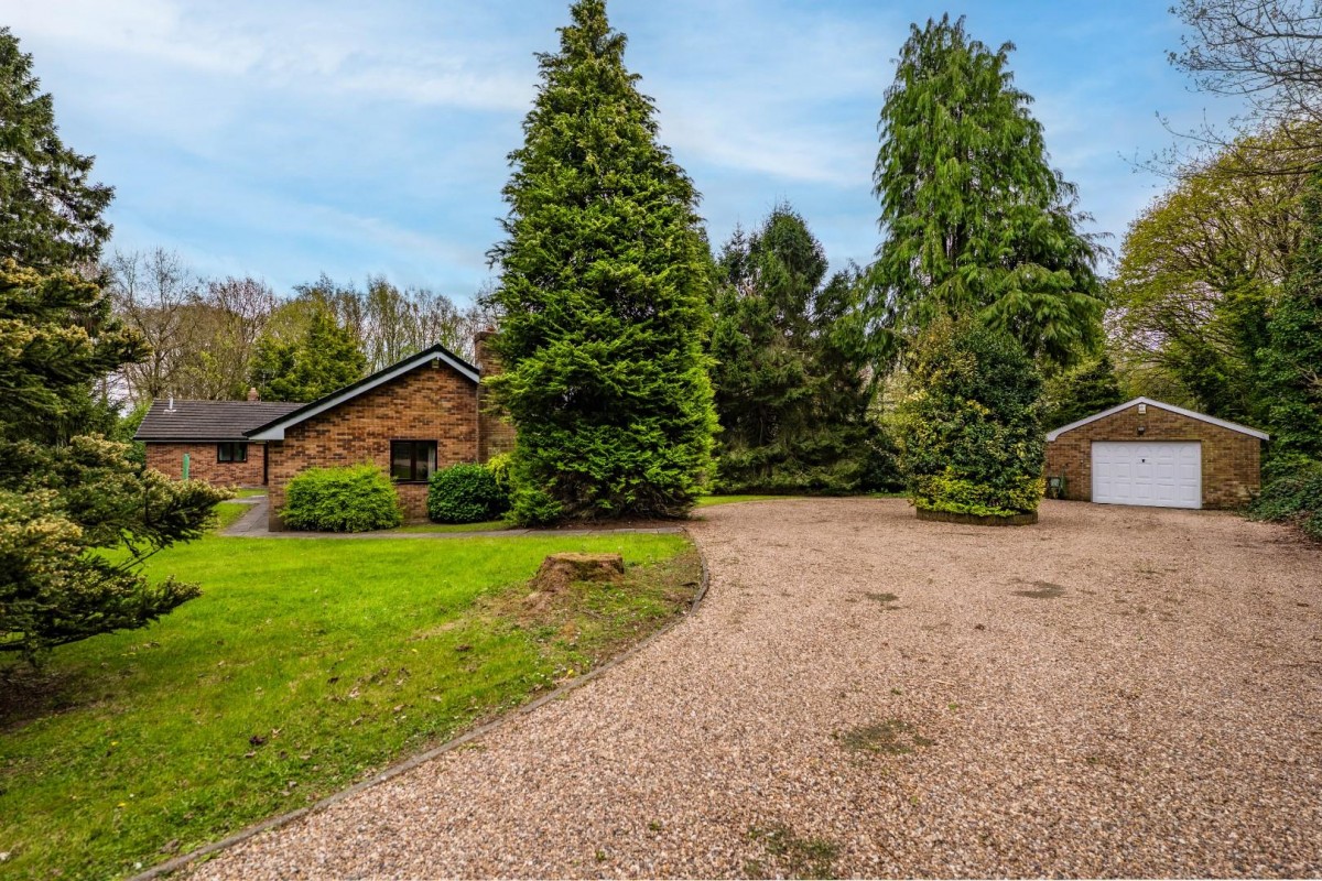 Sutton Spring Wood, Calow, Chesterfield, S44 5XF