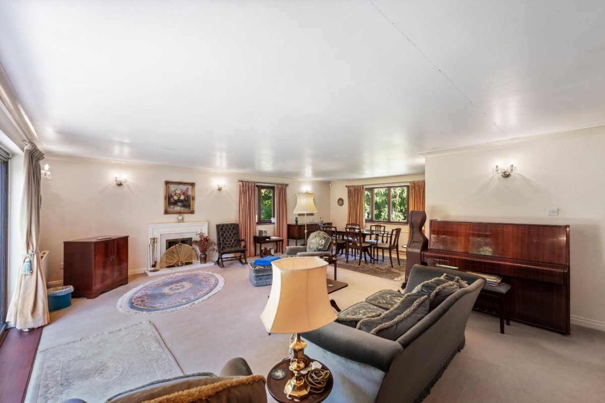 Sutton Spring Wood, Calow, Chesterfield, S44 5XF