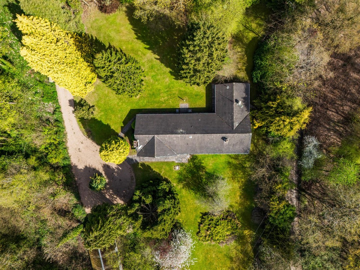 Sutton Spring Wood, Calow, Chesterfield, S44 5XF