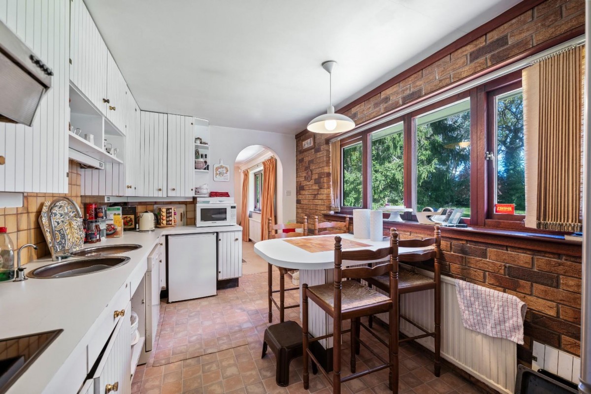 Sutton Spring Wood, Calow, Chesterfield, S44 5XF