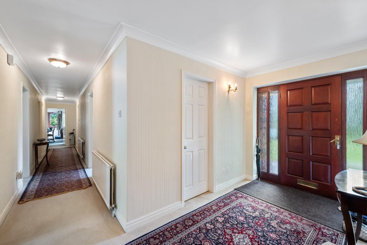 Sutton Spring Wood, Calow, Chesterfield, S44 5XF