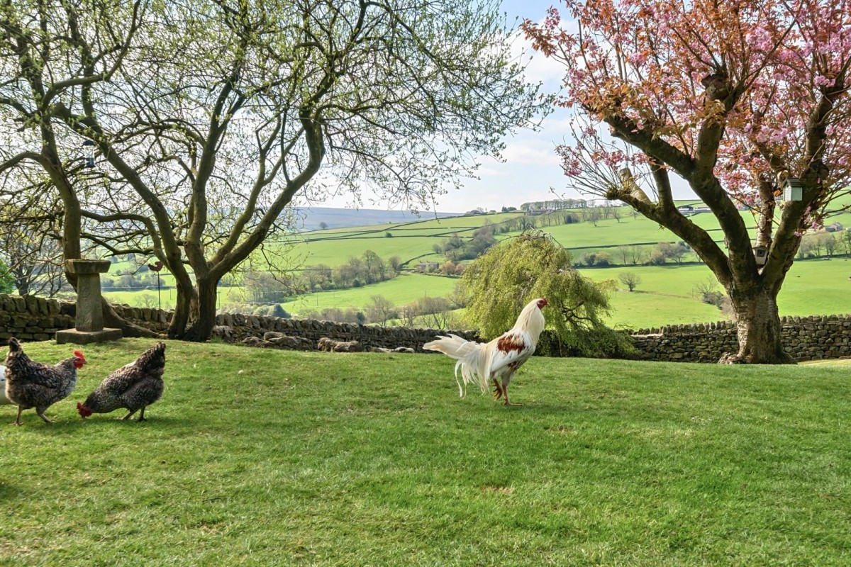 Copy Nook, Lothersdale, Nr Skipton
