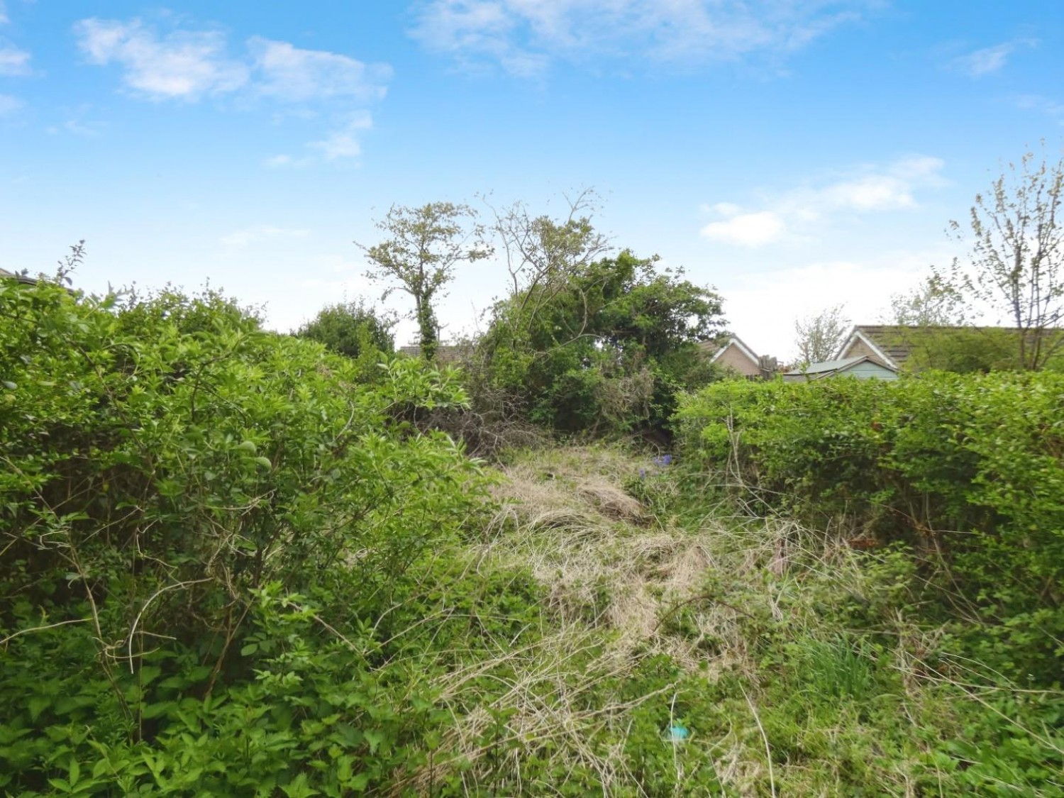 Orton Road, Carlisle, CA2