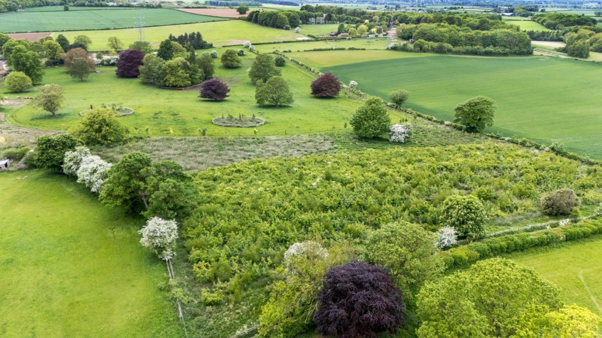 Inholmes Lane, Tadcaster, North Yorkshire